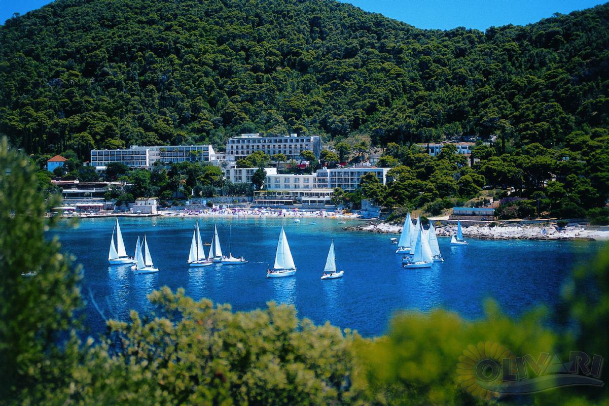 Hotel Komodor, Dubrovnik, (Uvala Lapad), Croatia - Travel Agency Olivari