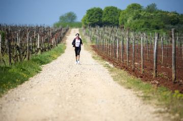 Wandern in Istrien