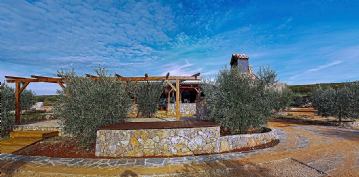 Die gold Tropfen der goldenen Insel - Olivenernte mit Meerblick<br><br>